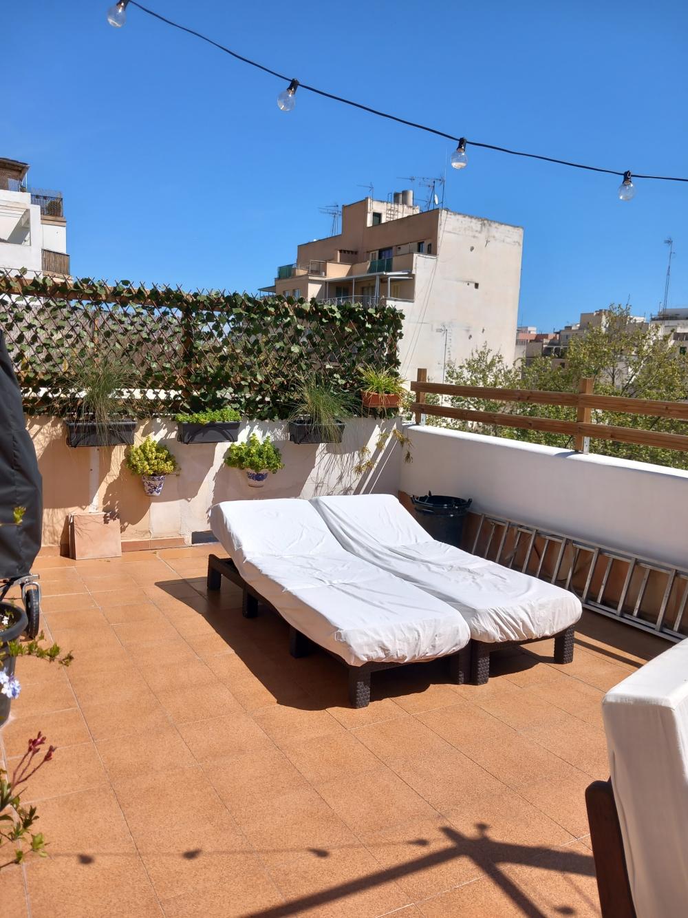  for sale penthouse Aragón-Pere Garau-Católicos Palma 4