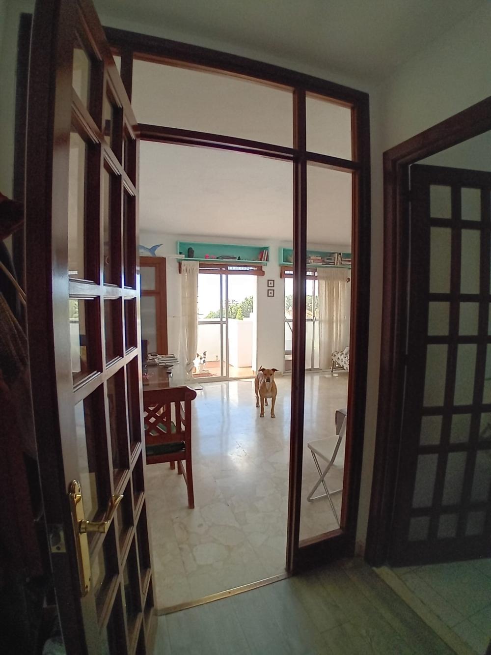  for sale apartment Marbella Costa Del Sol Occidental 9