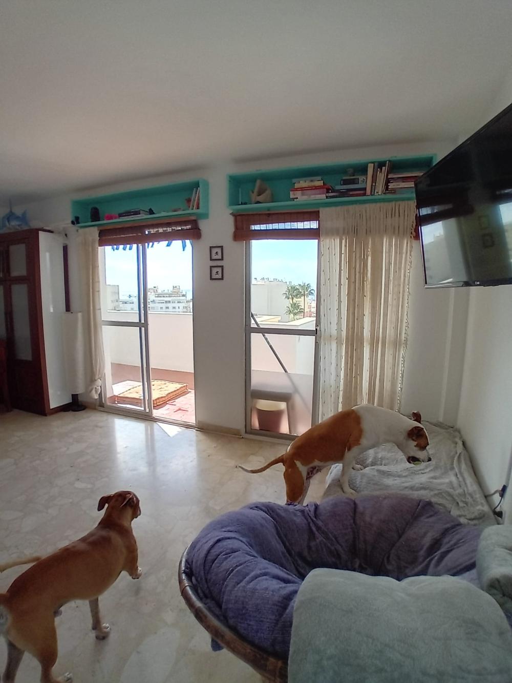  for sale apartment Marbella Costa Del Sol Occidental 8