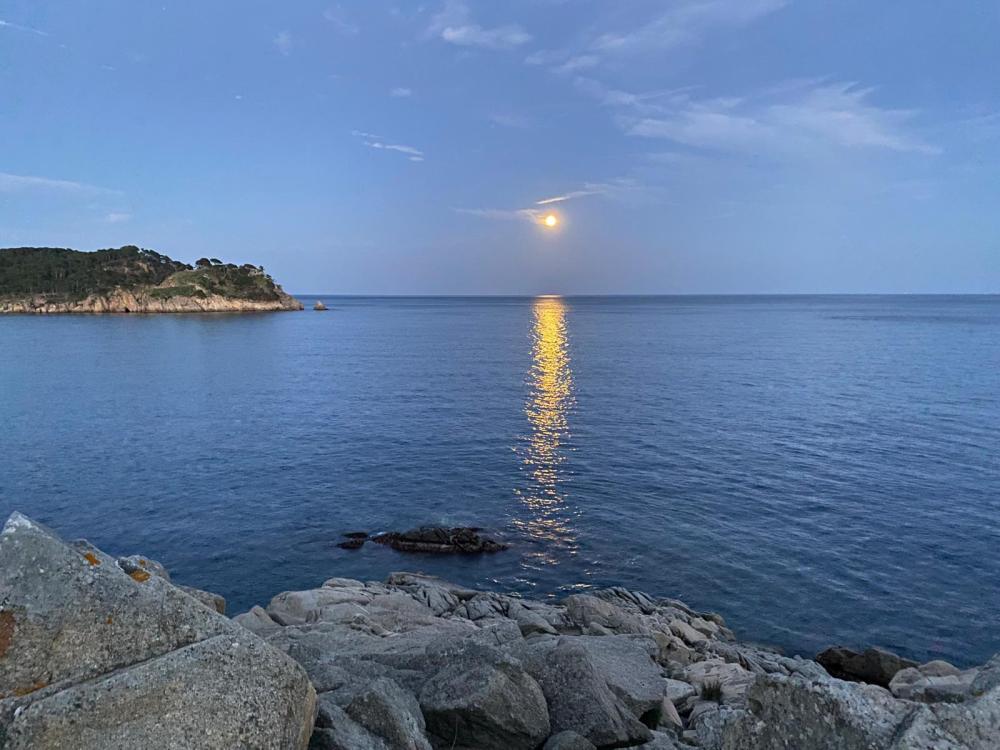 for sale apartment Cala Margarida Baix Empordà 17