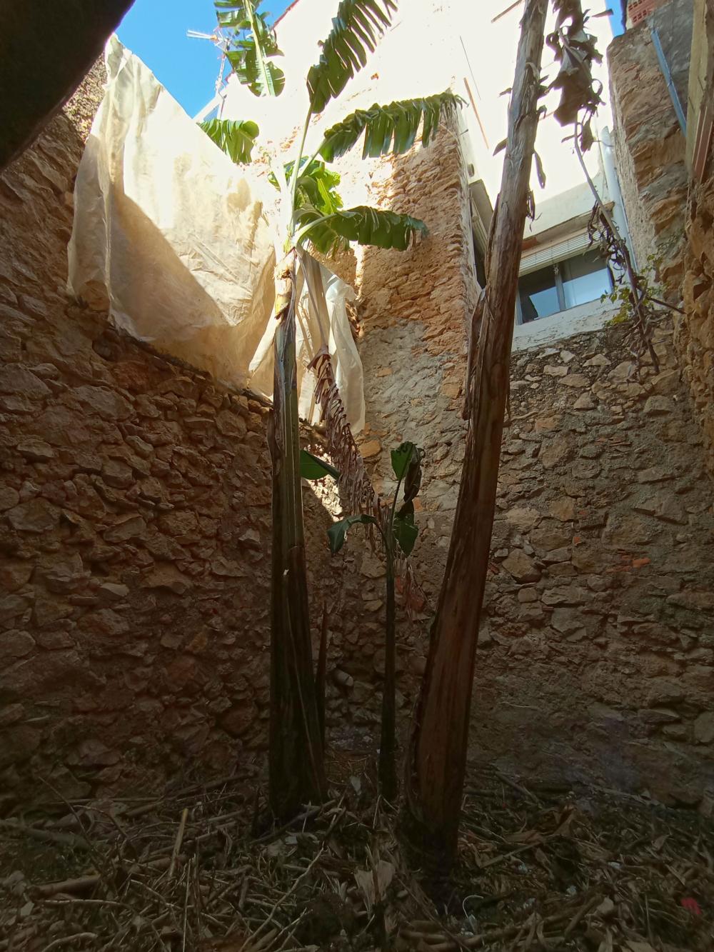  for sale house Alcanar Montsià 7