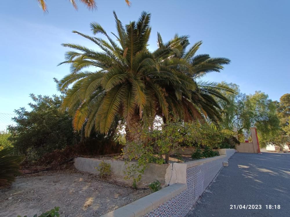  for sale villa Jijona Alacantí 38