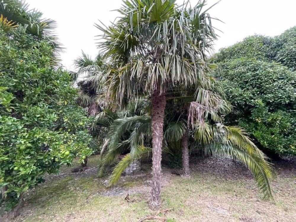  for sale house A Lama Pontevedra 30