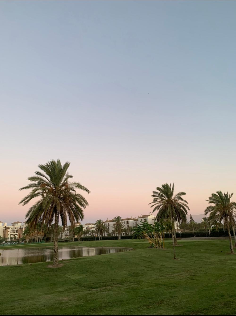  for sale apartment Playa Granada Costa Tropical 1