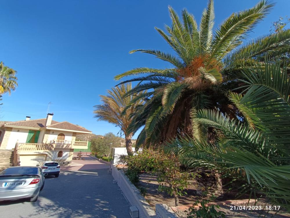  for sale villa Jijona Alacantí 37