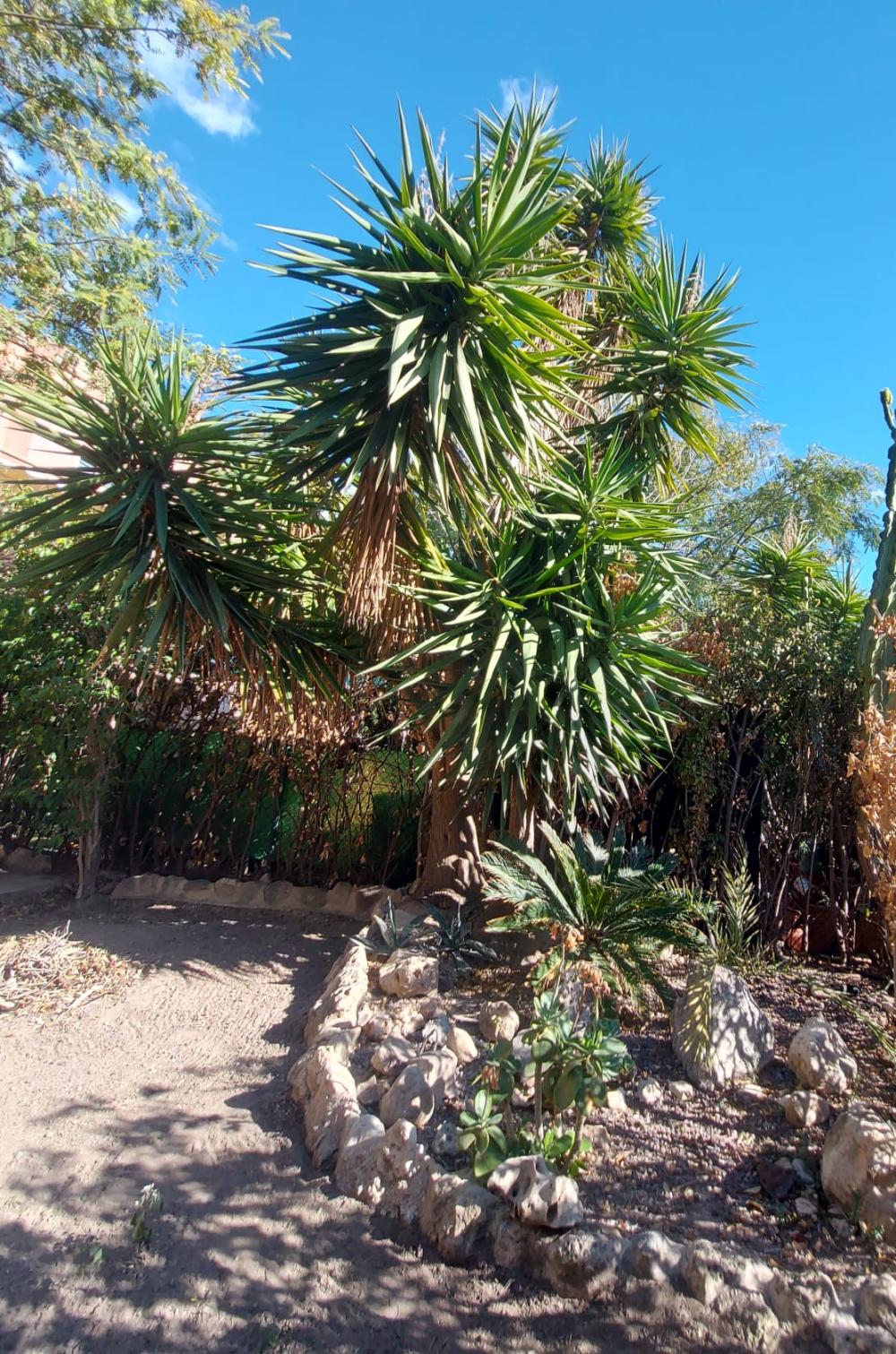  for sale semi-detached house Sant Joan D'alacant Alacantí 9