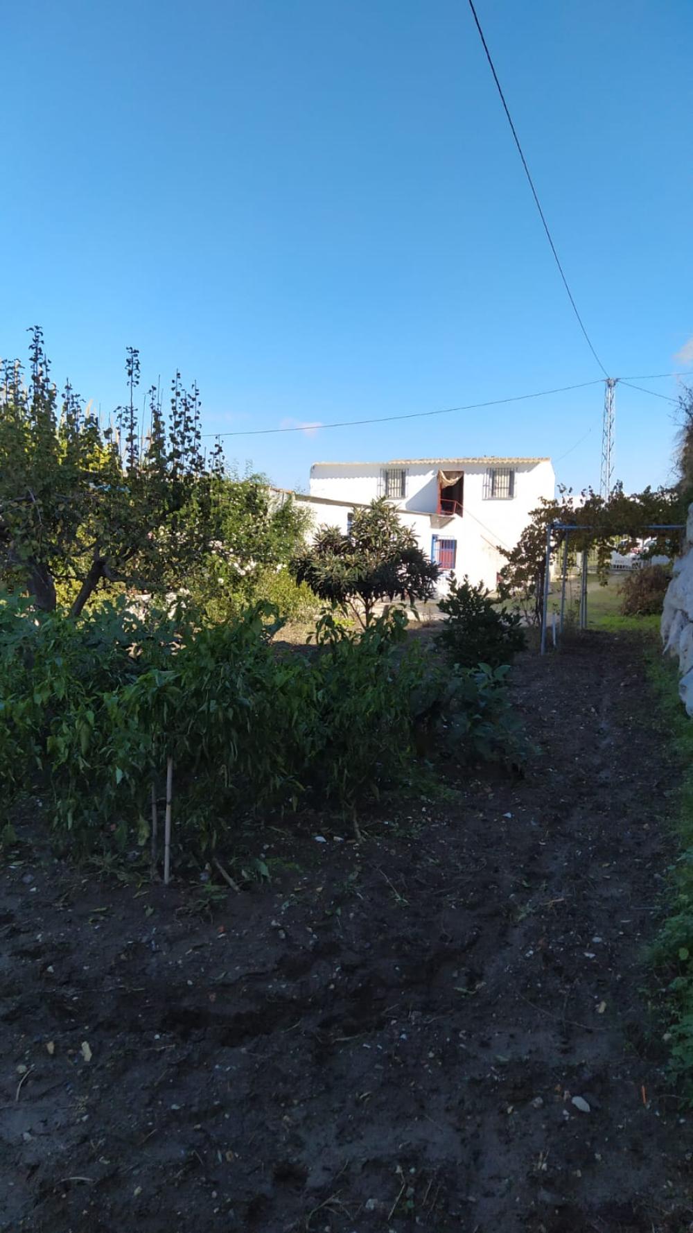  for sale country house Coín Valle Del Guadalhorce 6