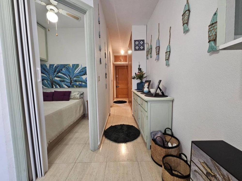  for sale apartment Guardamar Del Segura Baix Segura 4