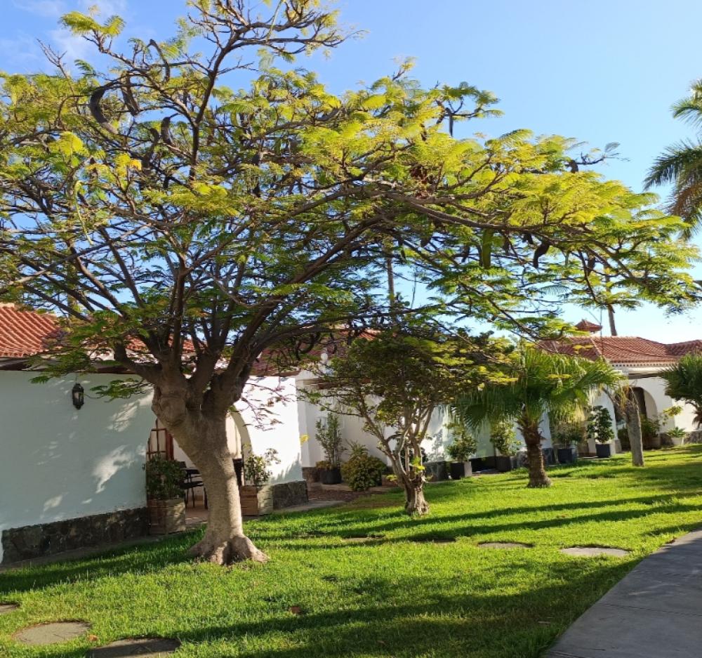  for sale semi-detached house Maspalomas Área Sur 5
