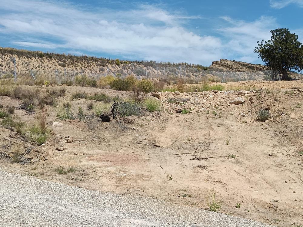  for sale plot Moralet Alacantí 2