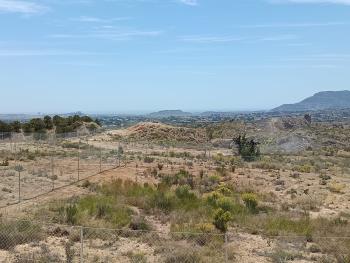 Moralet Alacantí plot foto 6162711