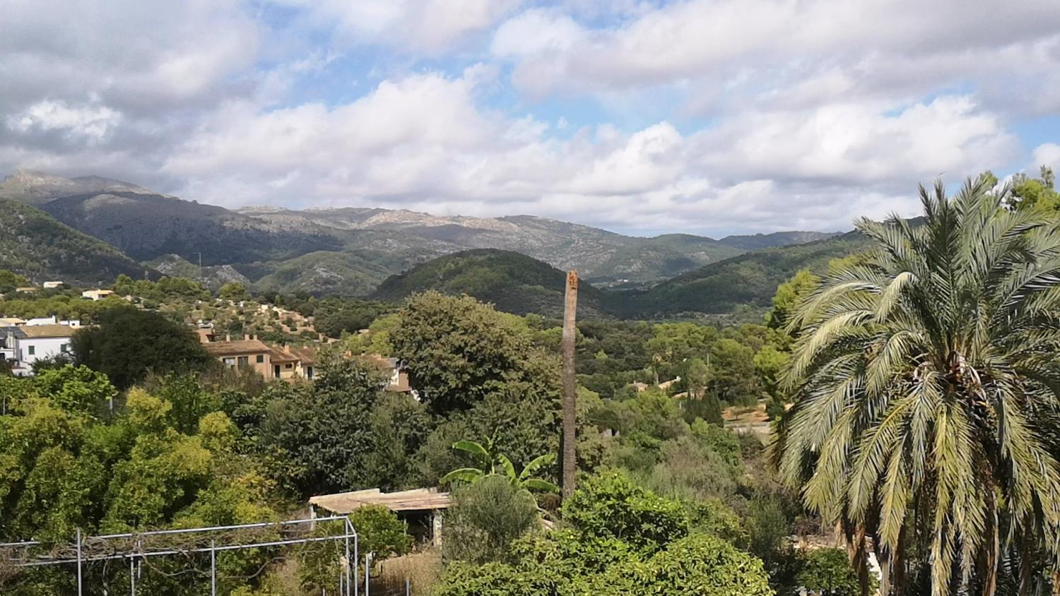  for sale house Campanet Raiguer 14