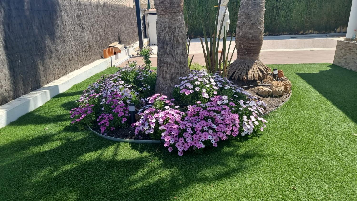  for sale house Calasparra Noroeste 22