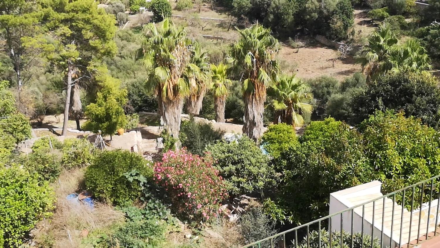  for sale house Campanet Raiguer 15