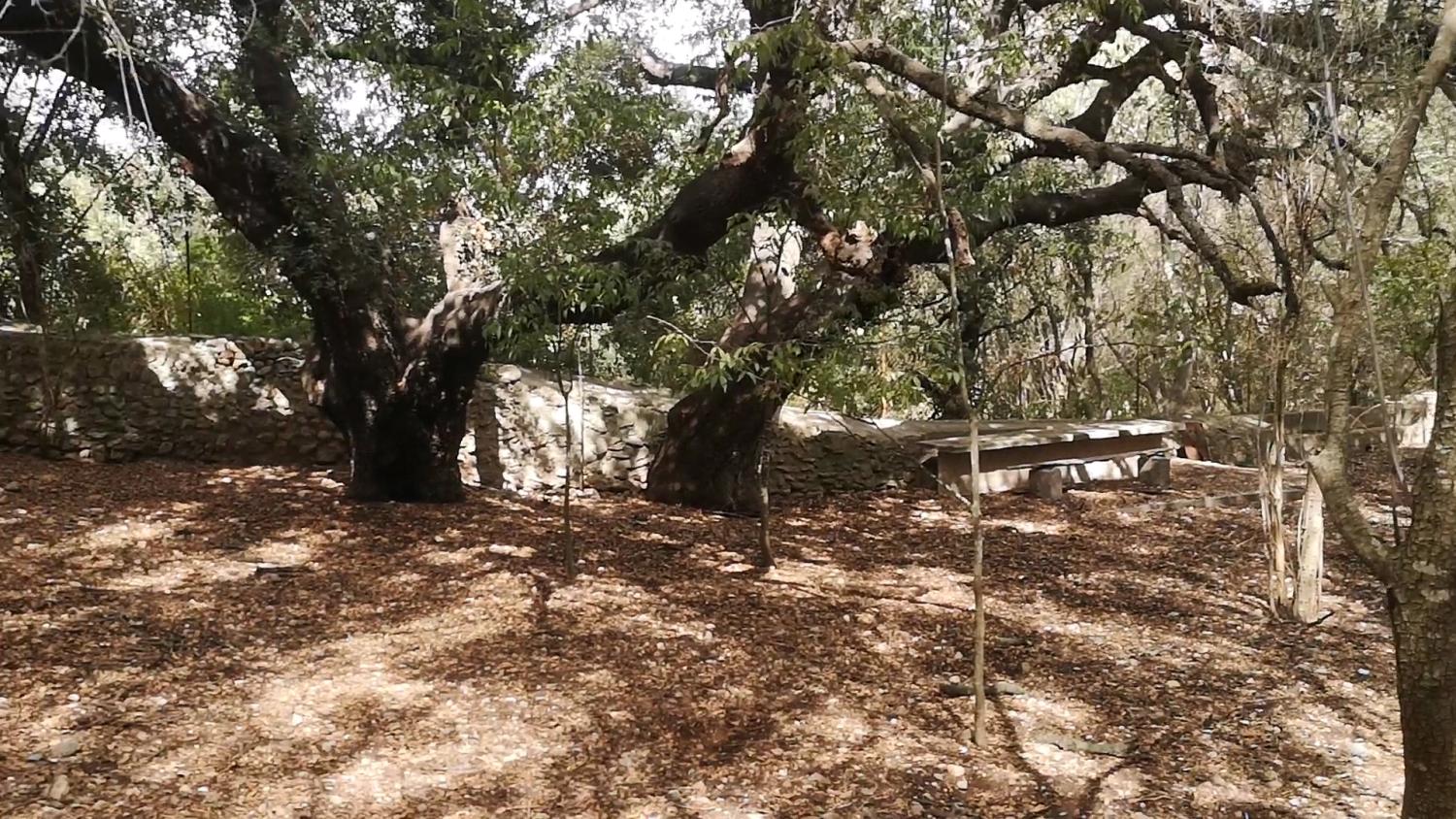  for sale house Campanet Raiguer 44