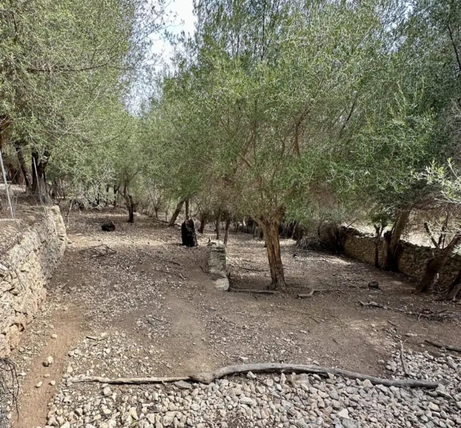  for sale house Campanet Raiguer 41