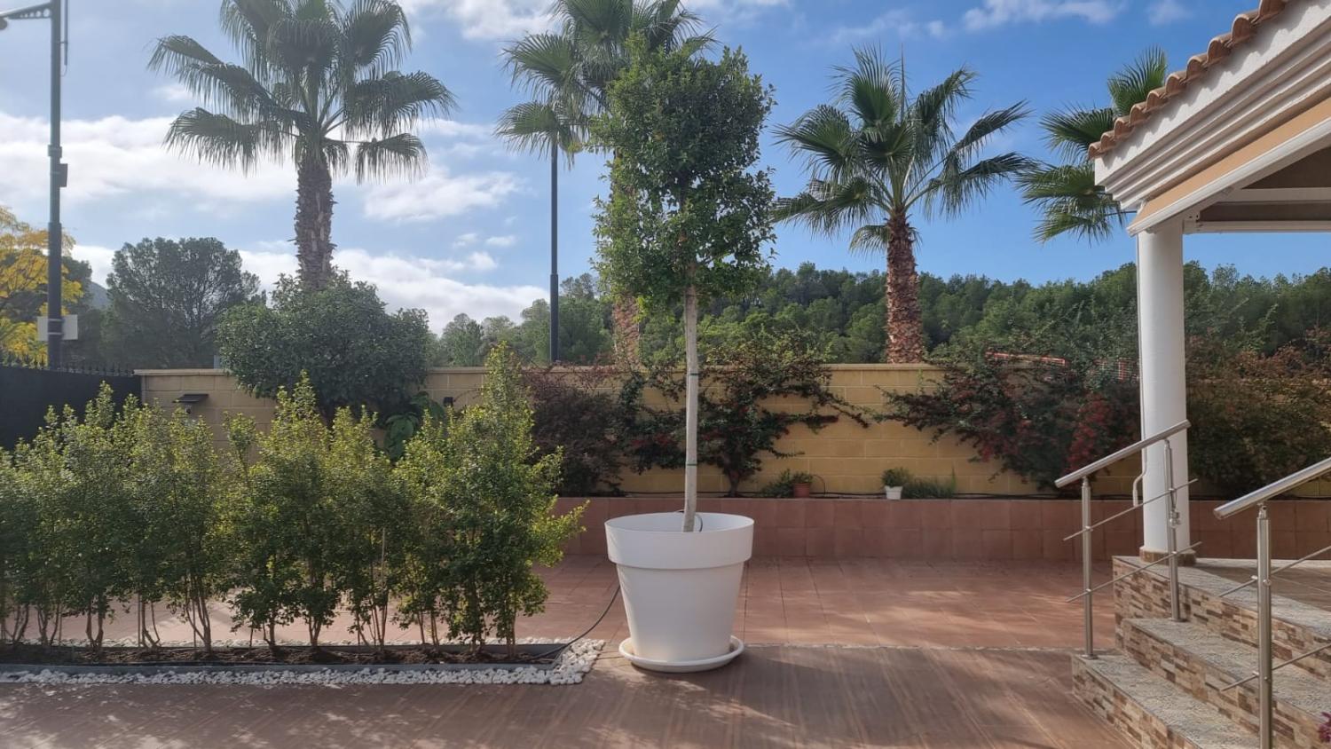  for sale house Calasparra Noroeste 5