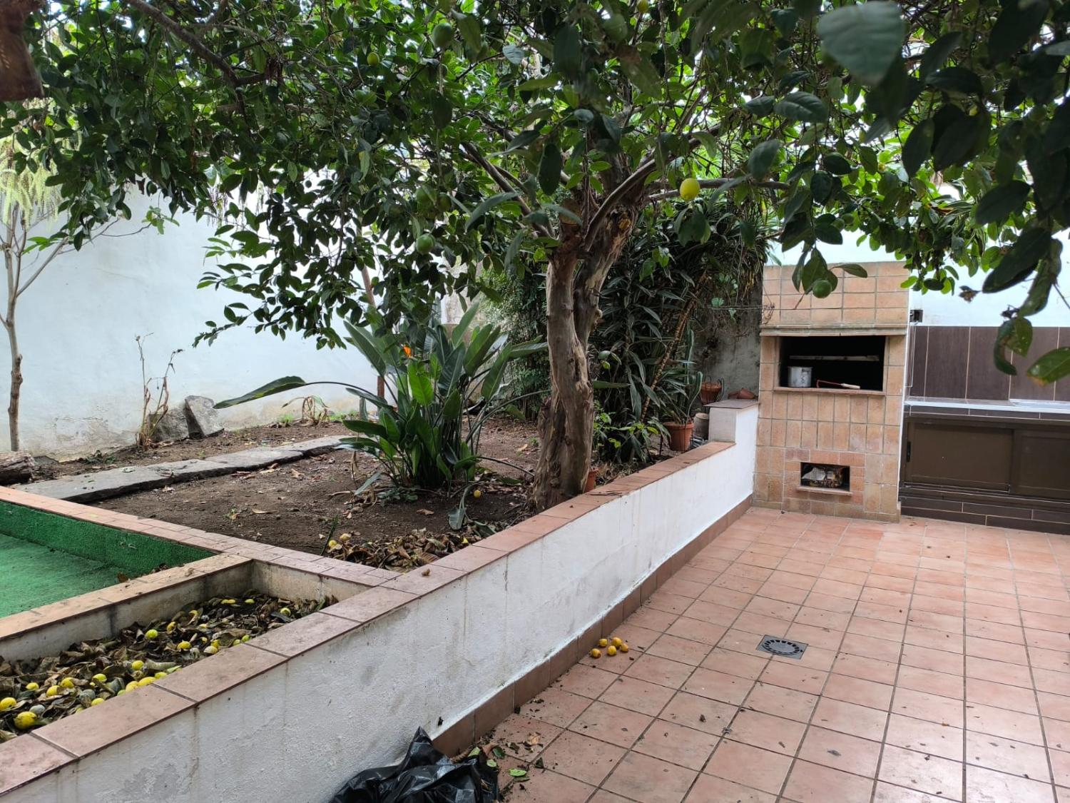 for sale house Icod De Los Vinos Zona Norte 4