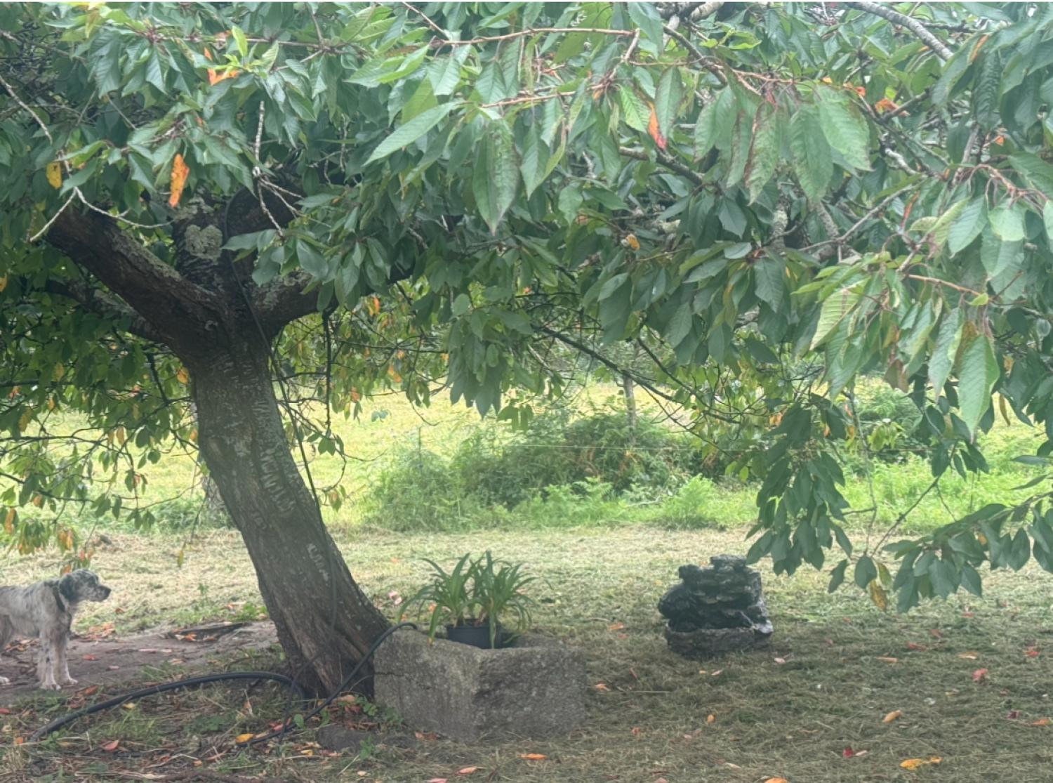  for sale house Mondoñedo Mariña Central 38