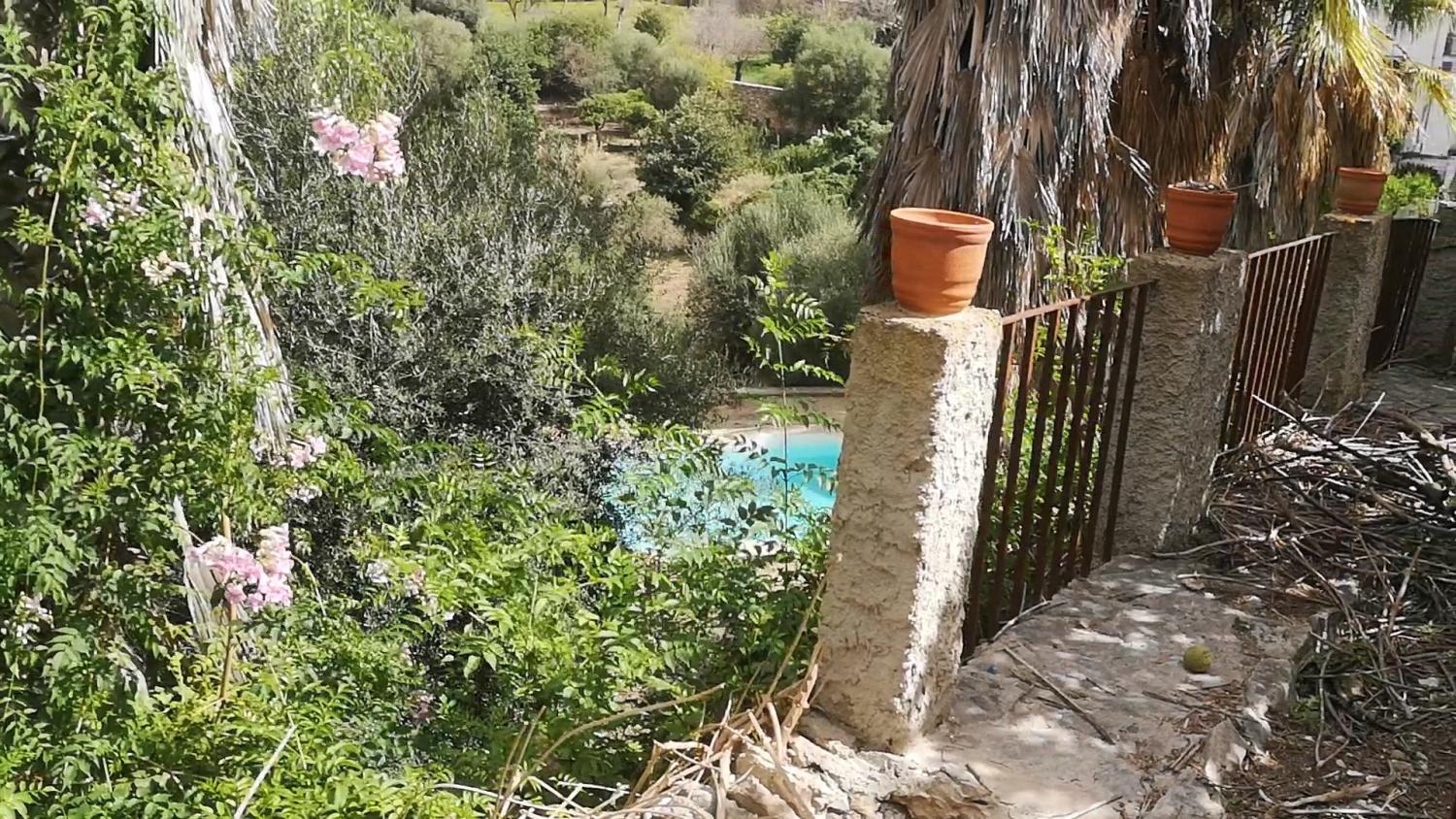  for sale house Campanet Raiguer 20