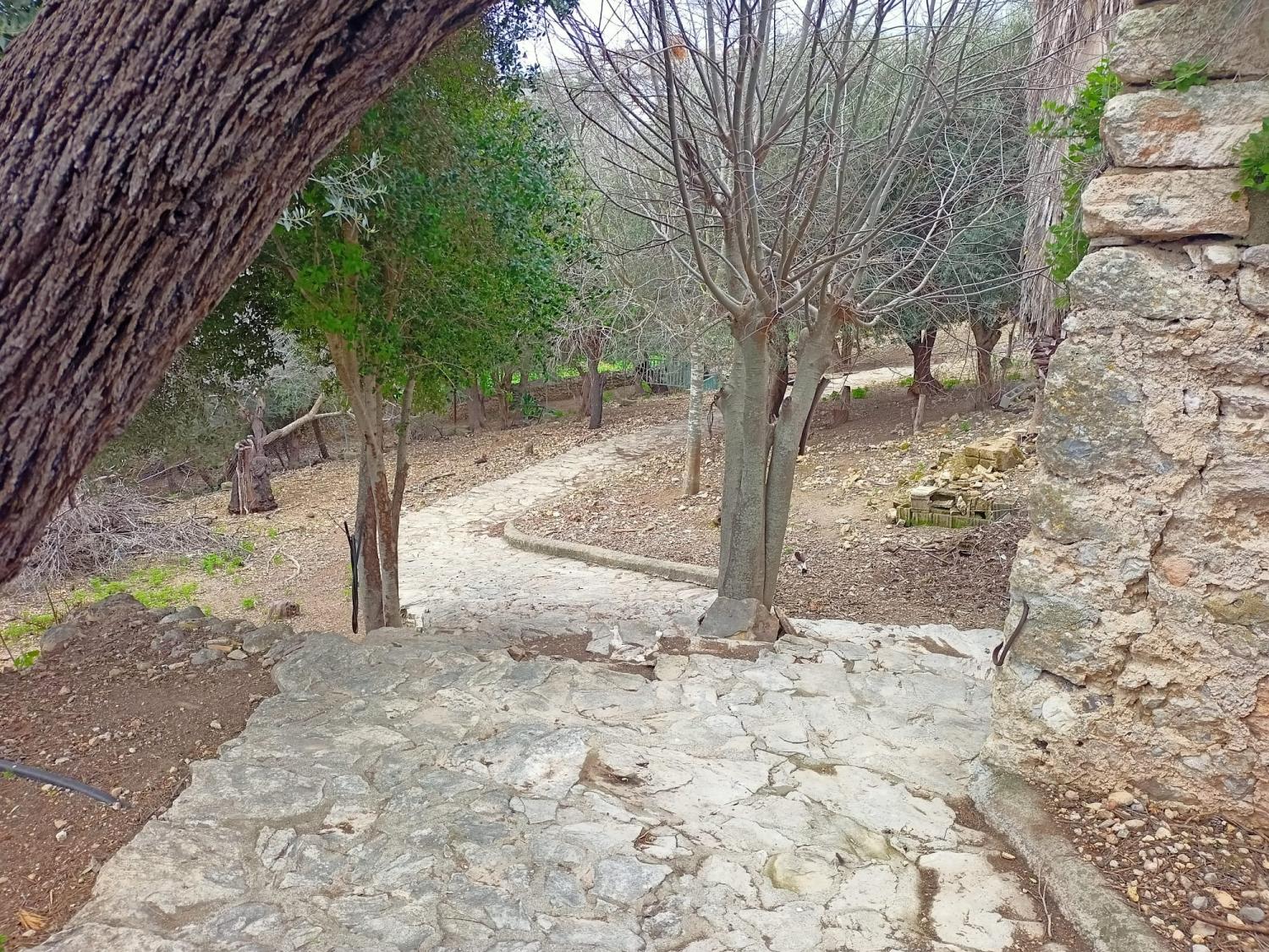  for sale house Campanet Raiguer 38