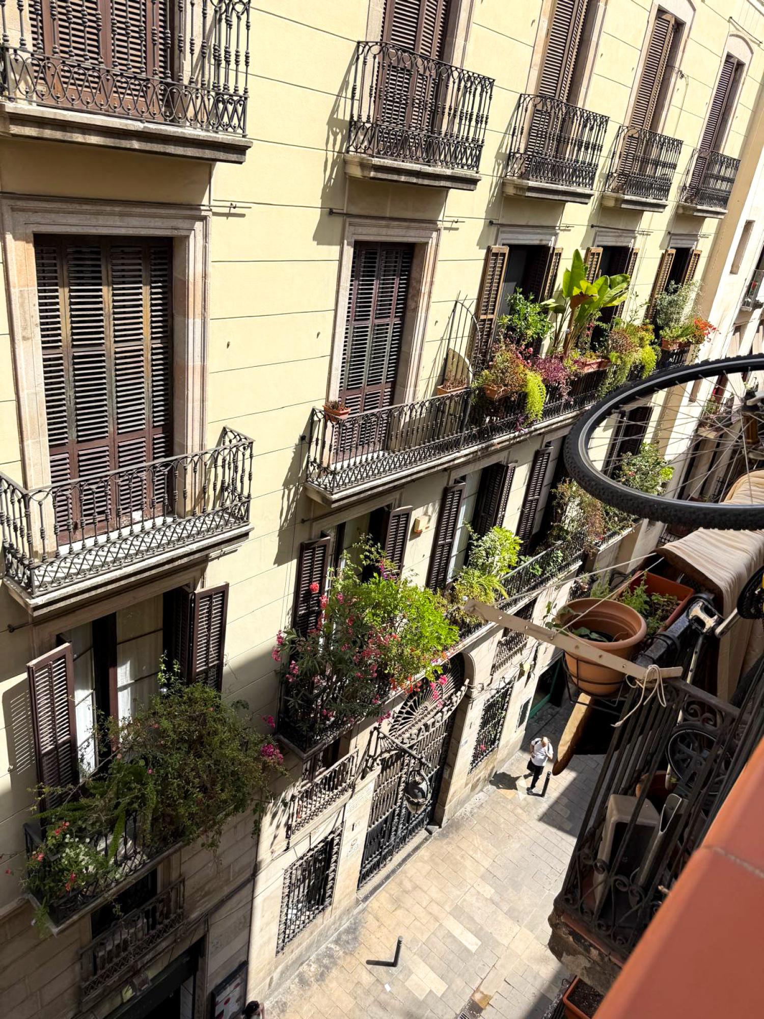  for sale apartment Ciutat Vella-Sant Pere-Santa Caterina-El Born Barcelonès 19