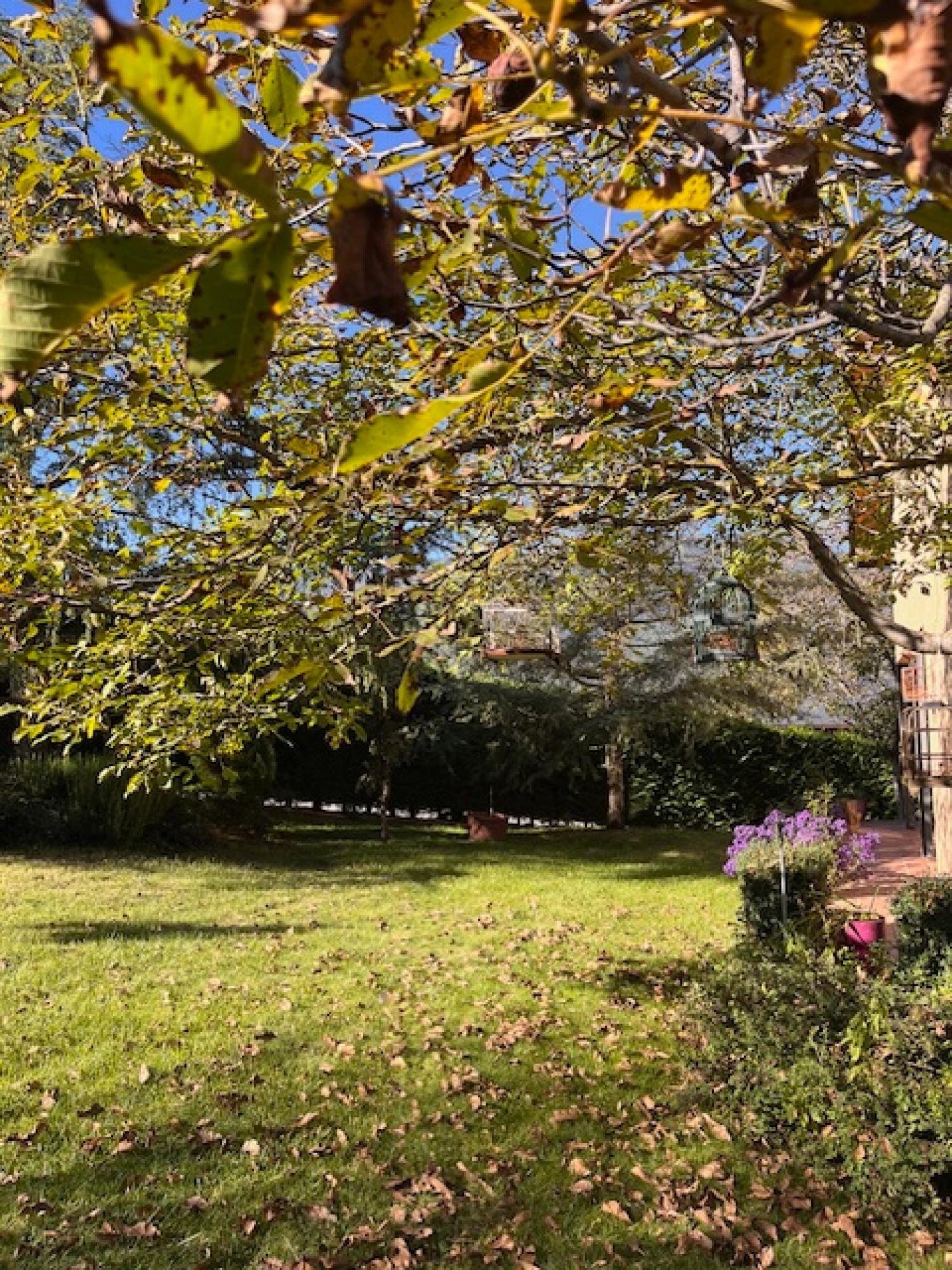  for sale country house Montferrer Alt Urgell-Cerdenya 17