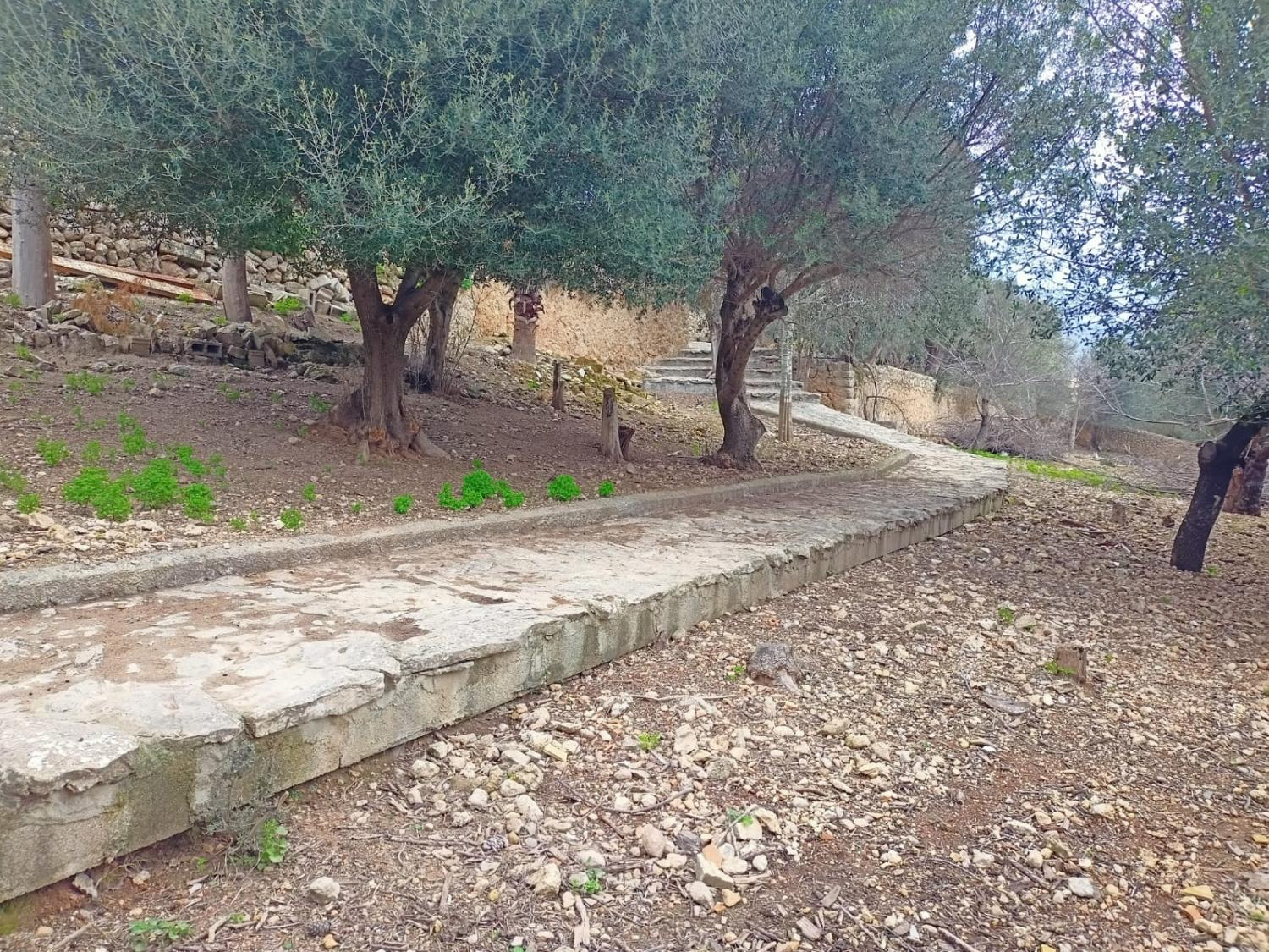  for sale house Campanet Raiguer 39