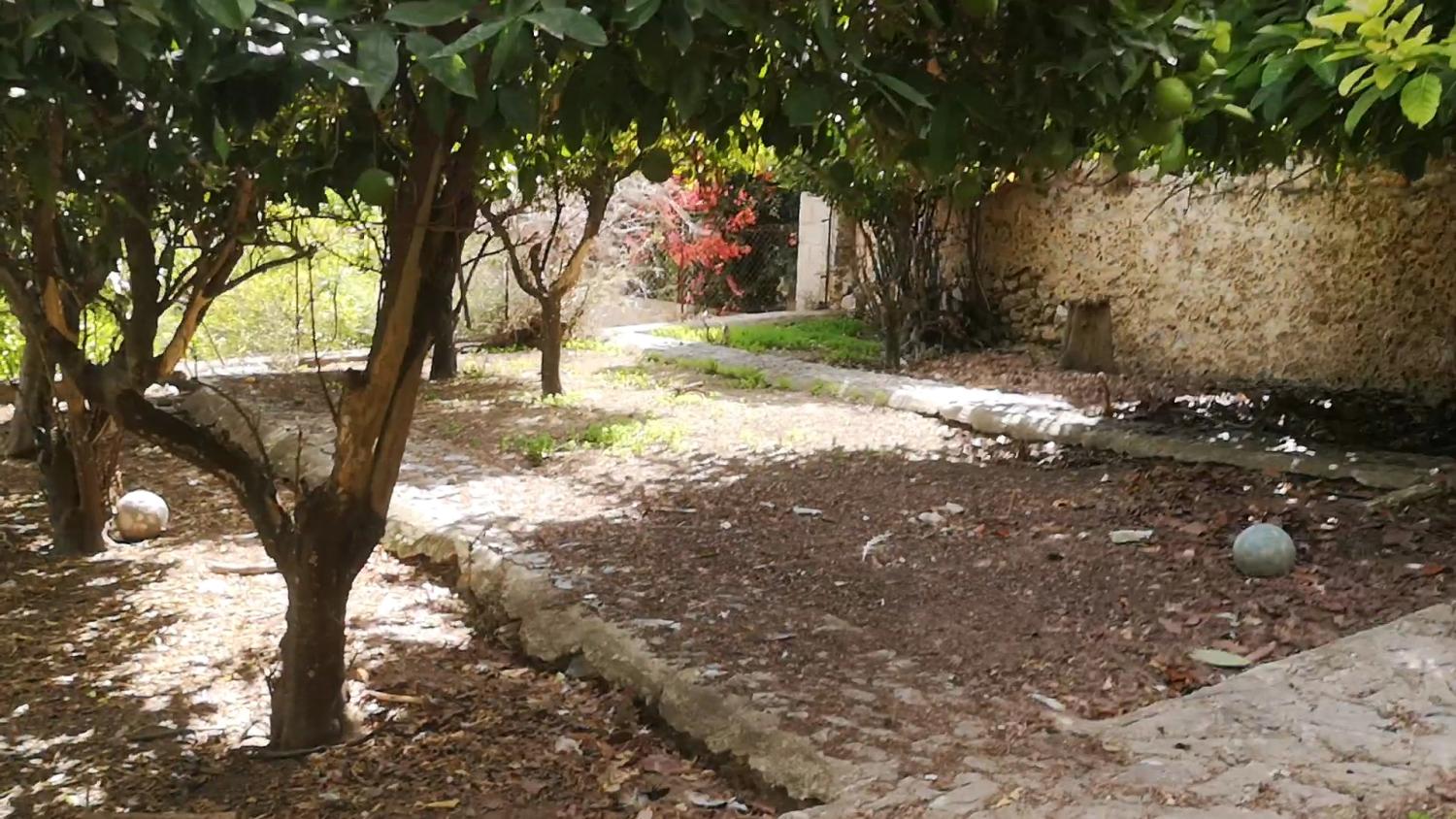  for sale house Campanet Raiguer 16