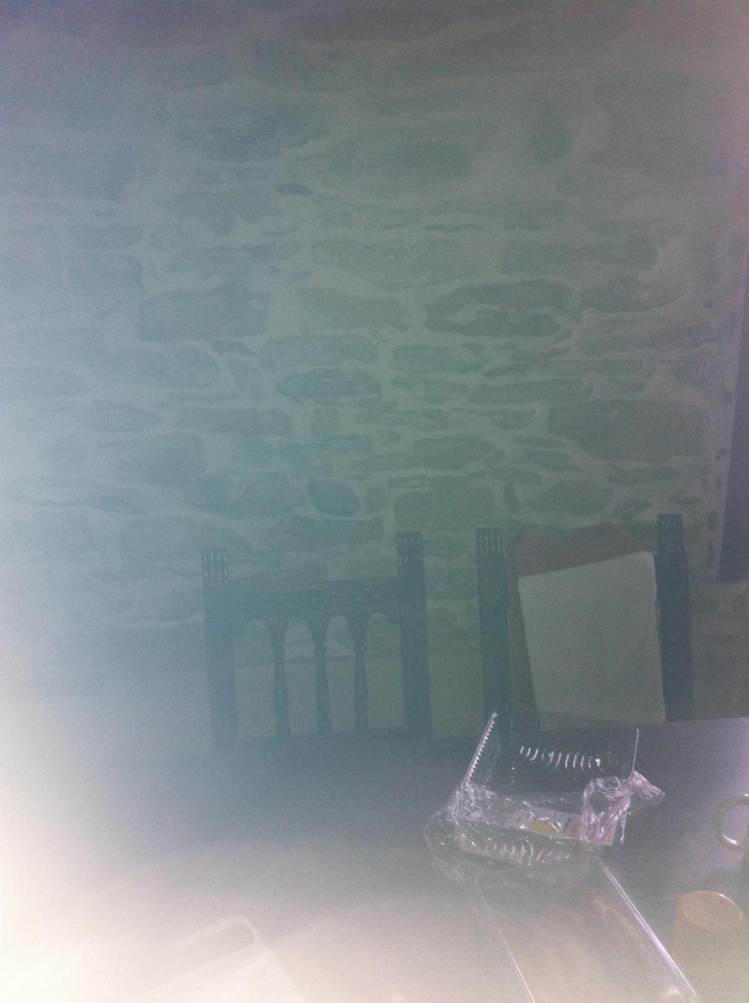  for sale house Santa Cruz De Montes Bierzo (El) 14