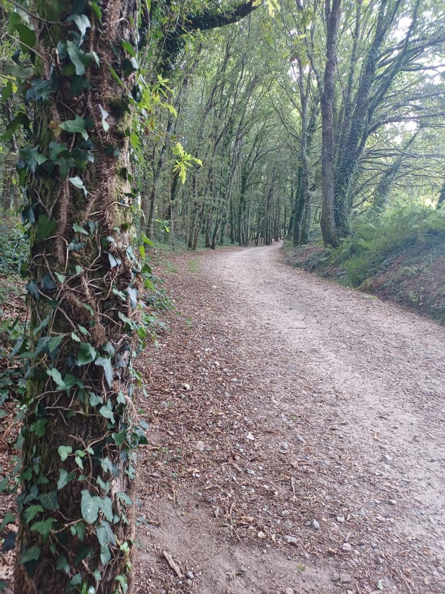  for sale plot Raíces Santiago 11