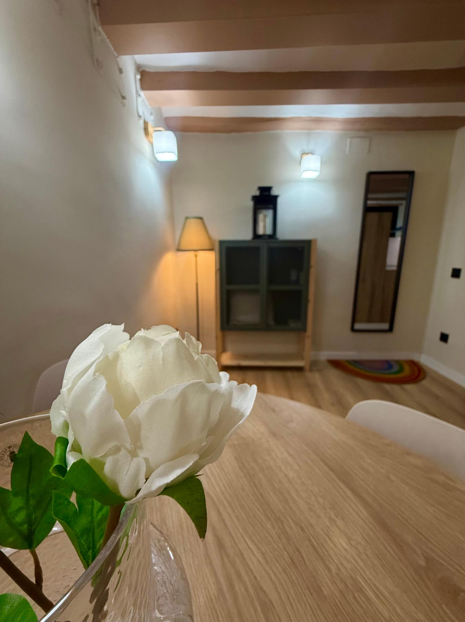  for sale apartment Ciutat Vella-Sant Pere-Santa Caterina-El Born Barcelonès 16