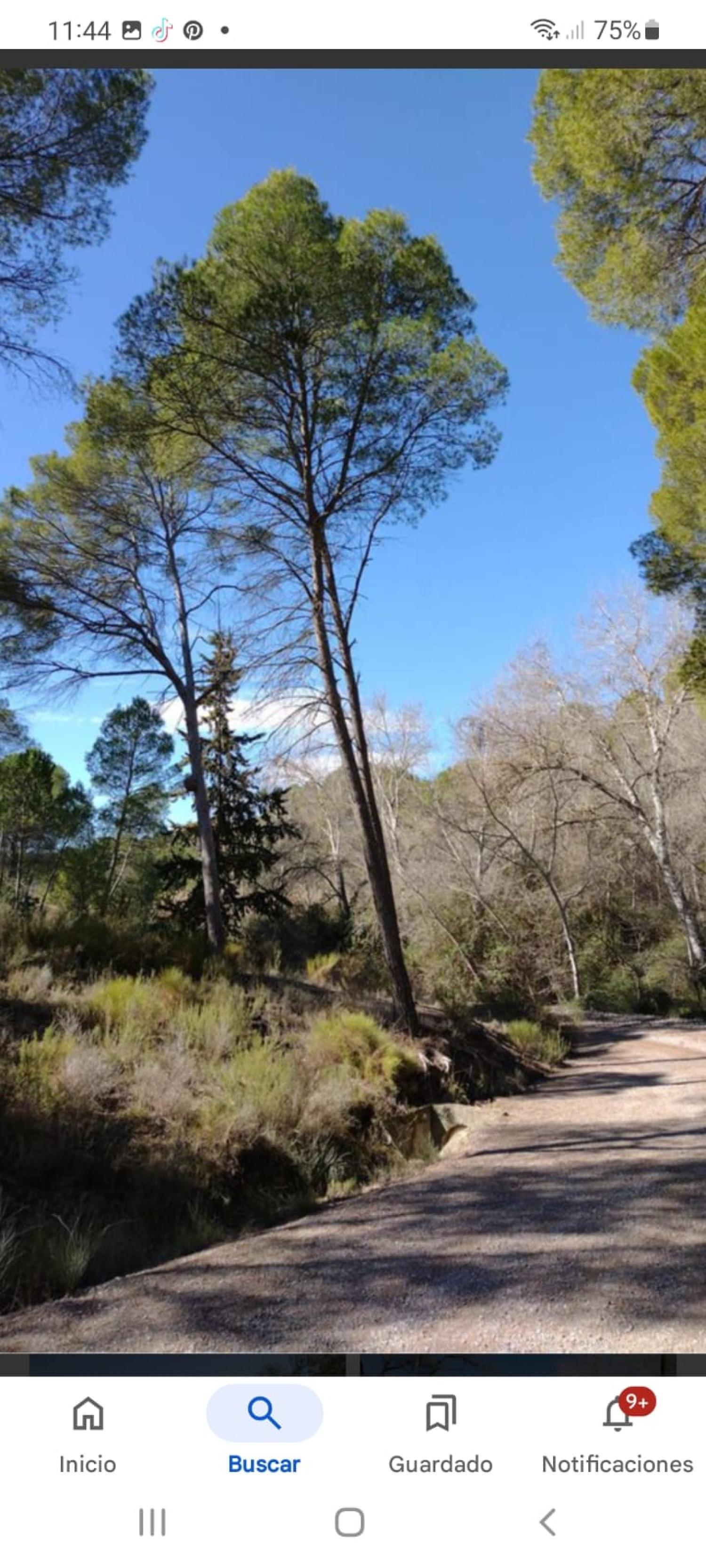  for sale house Calasparra Noroeste 16