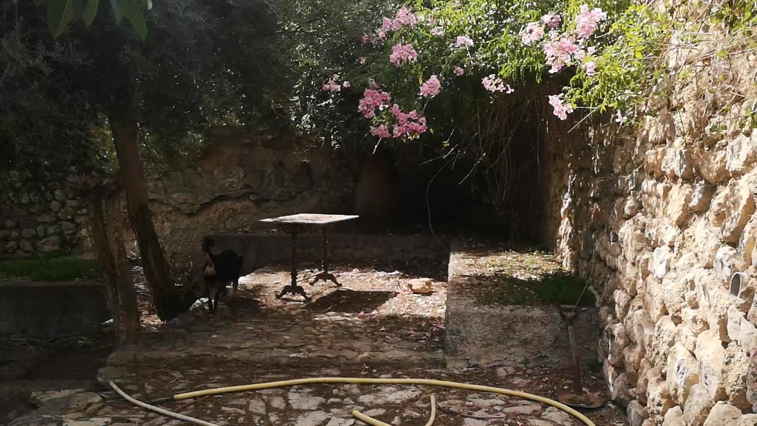  for sale house Campanet Raiguer 24