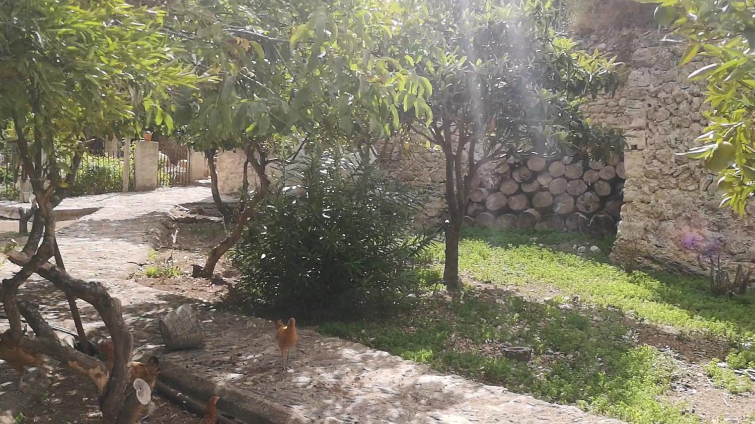  for sale house Campanet Raiguer 19