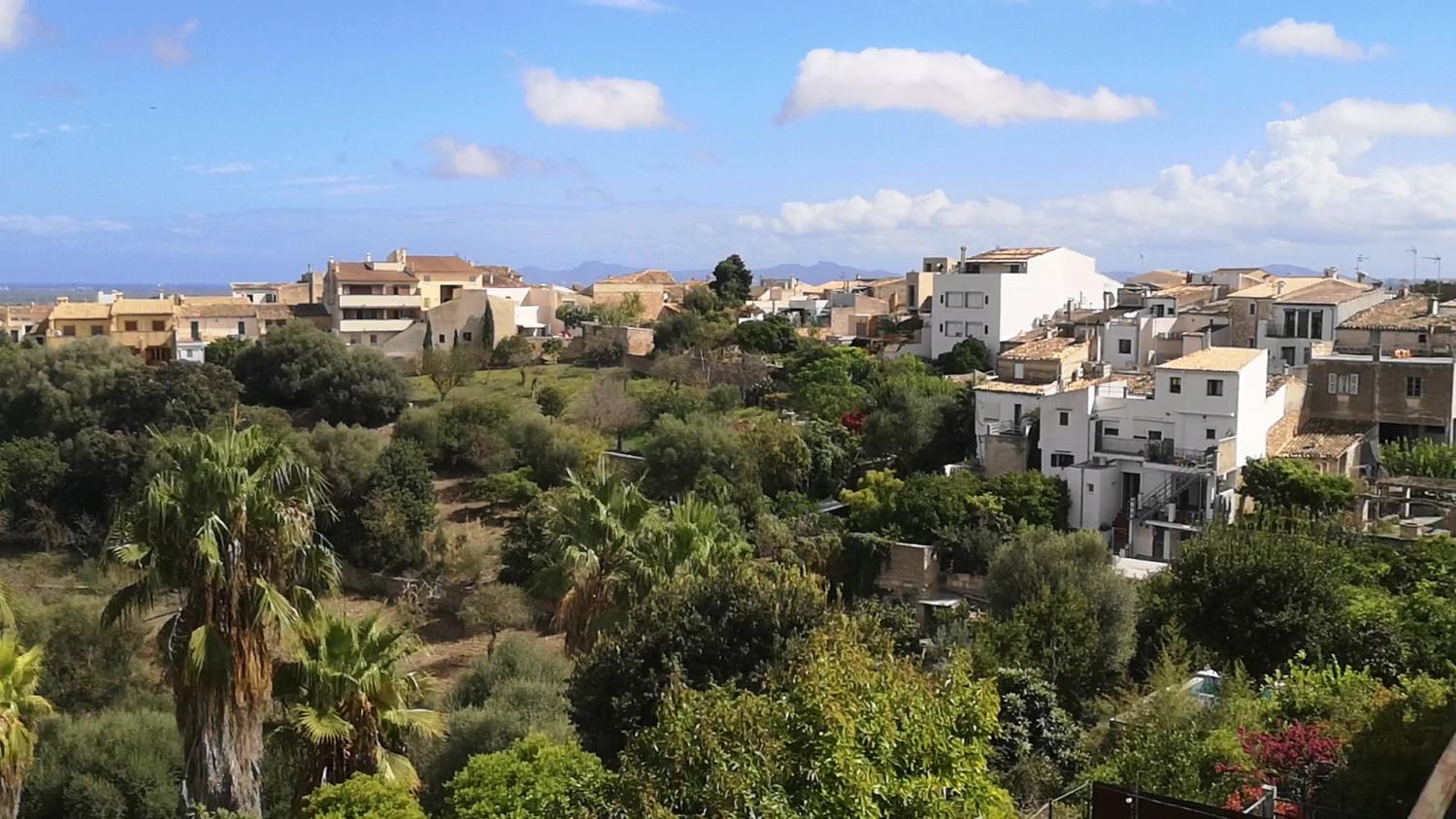  for sale house Campanet Raiguer 4