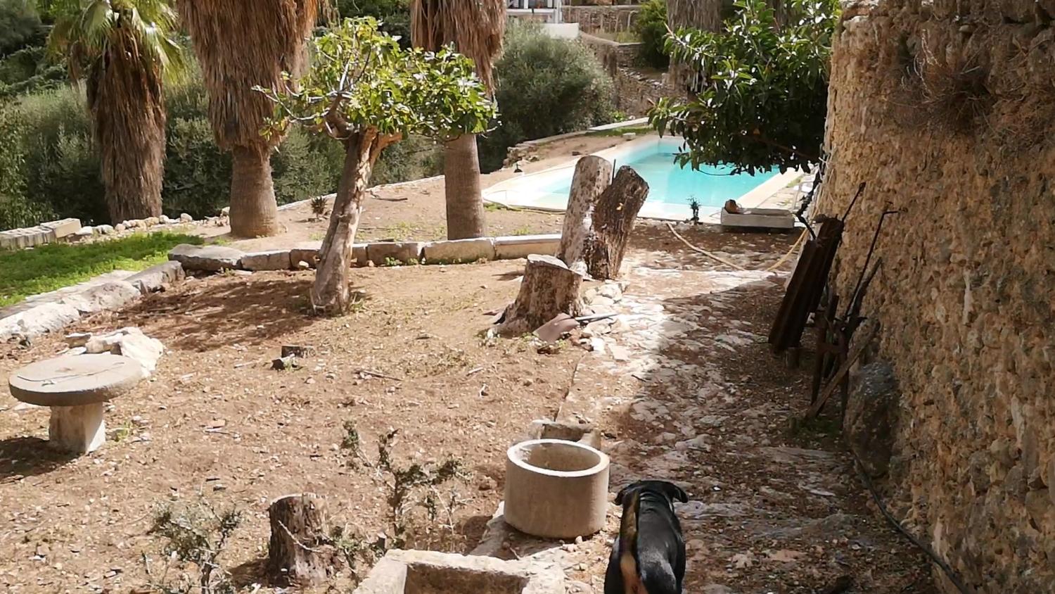  for sale house Campanet Raiguer 25