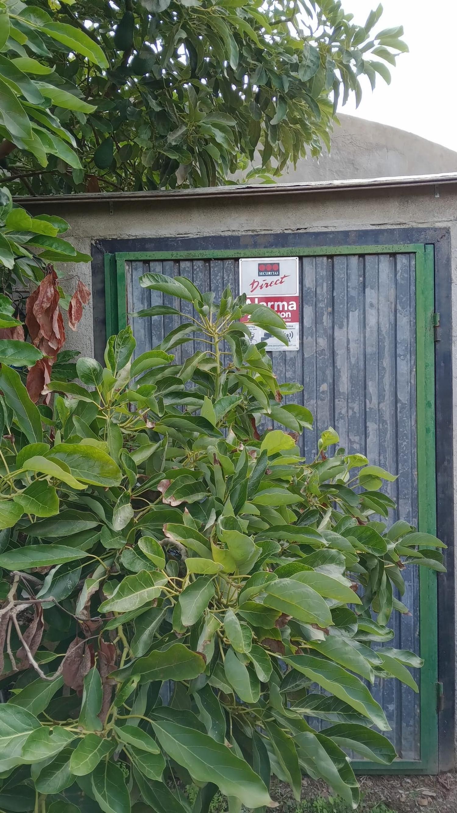 for sale terraced house Puntalón Costa Tropical 11