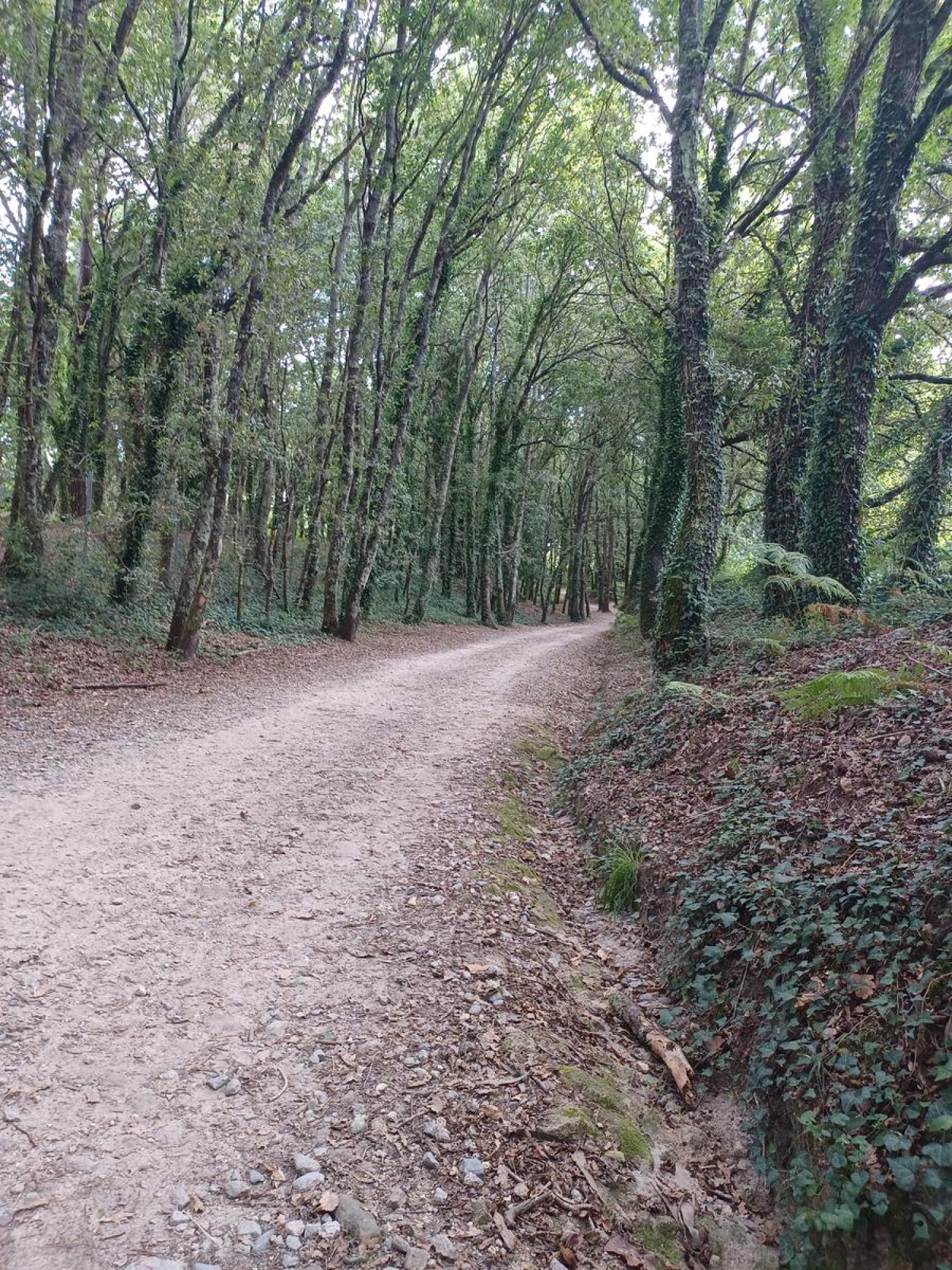  for sale plot Raíces Santiago 30