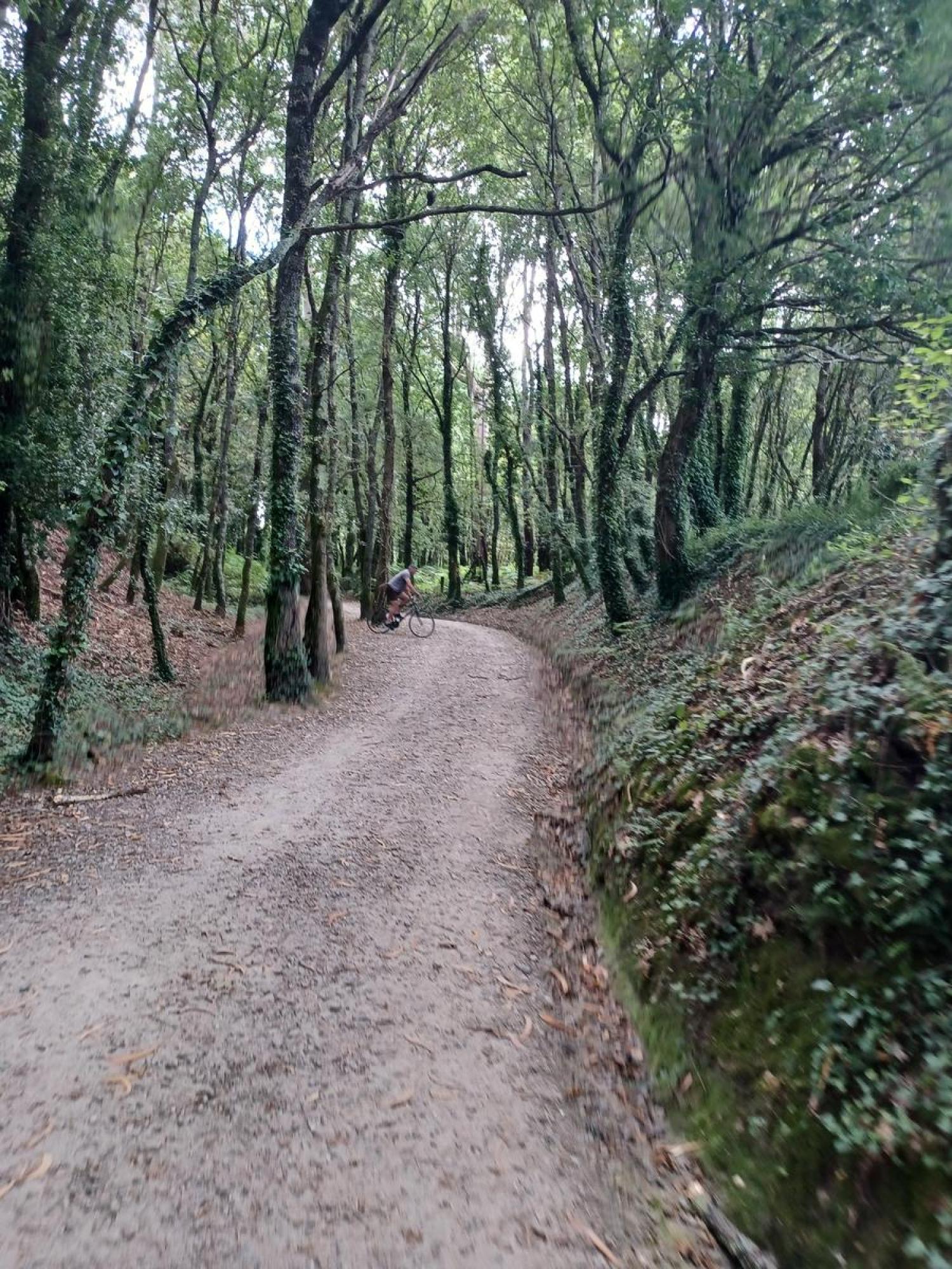  for sale plot Raíces Santiago 32