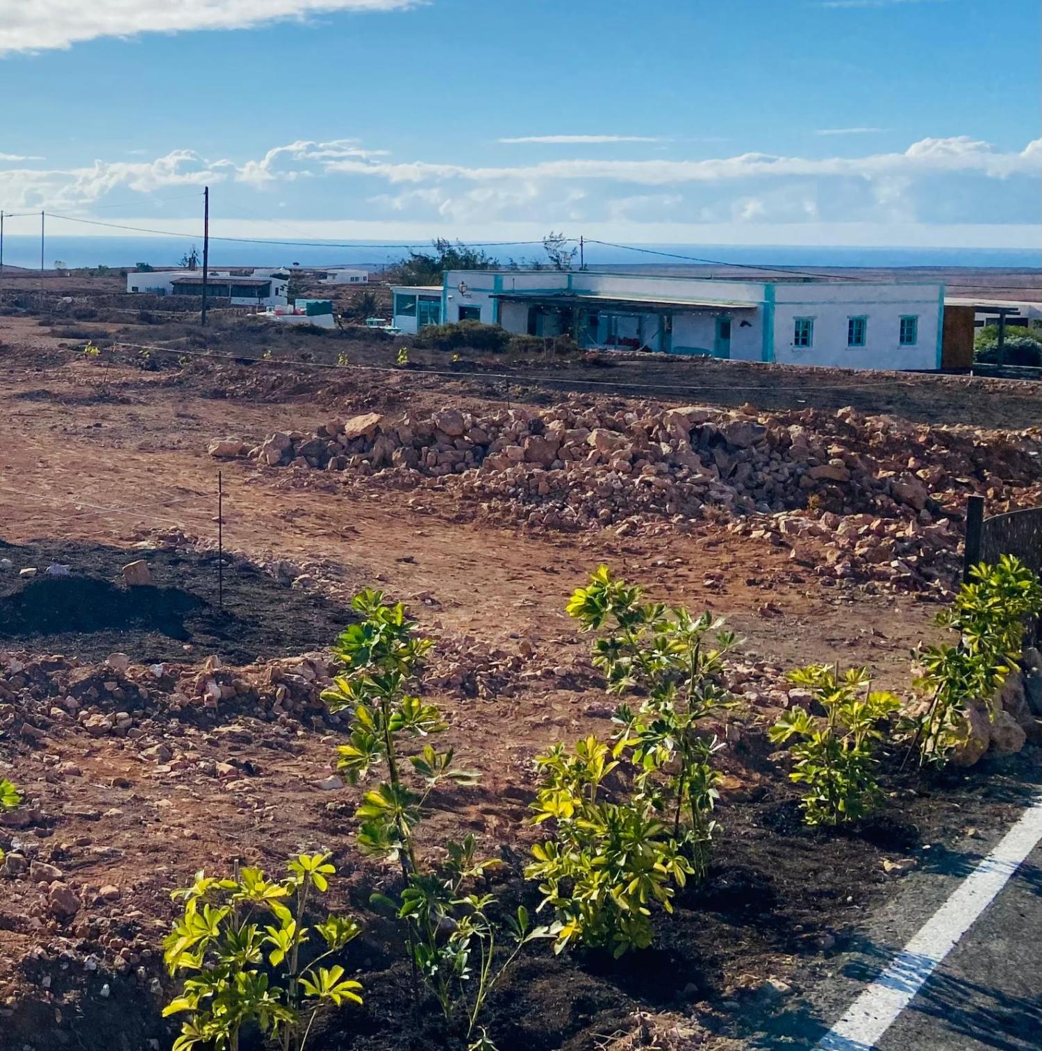  for sale plot Tindaya Oliva (La) 7