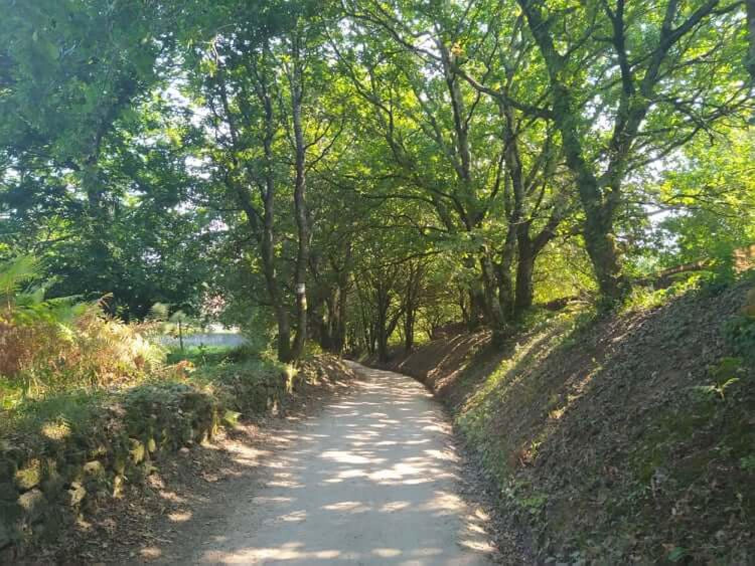  for sale plot Raíces Santiago 27