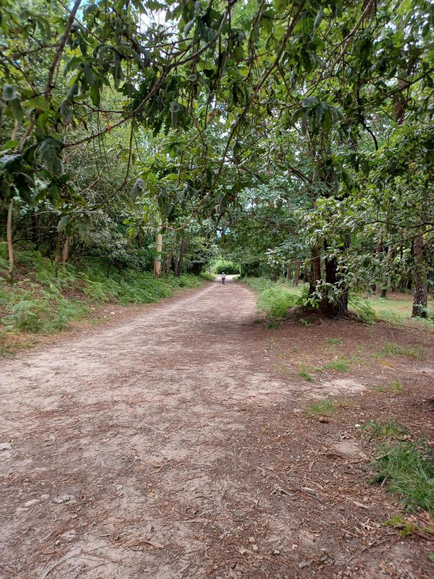  for sale plot Raíces Santiago 20