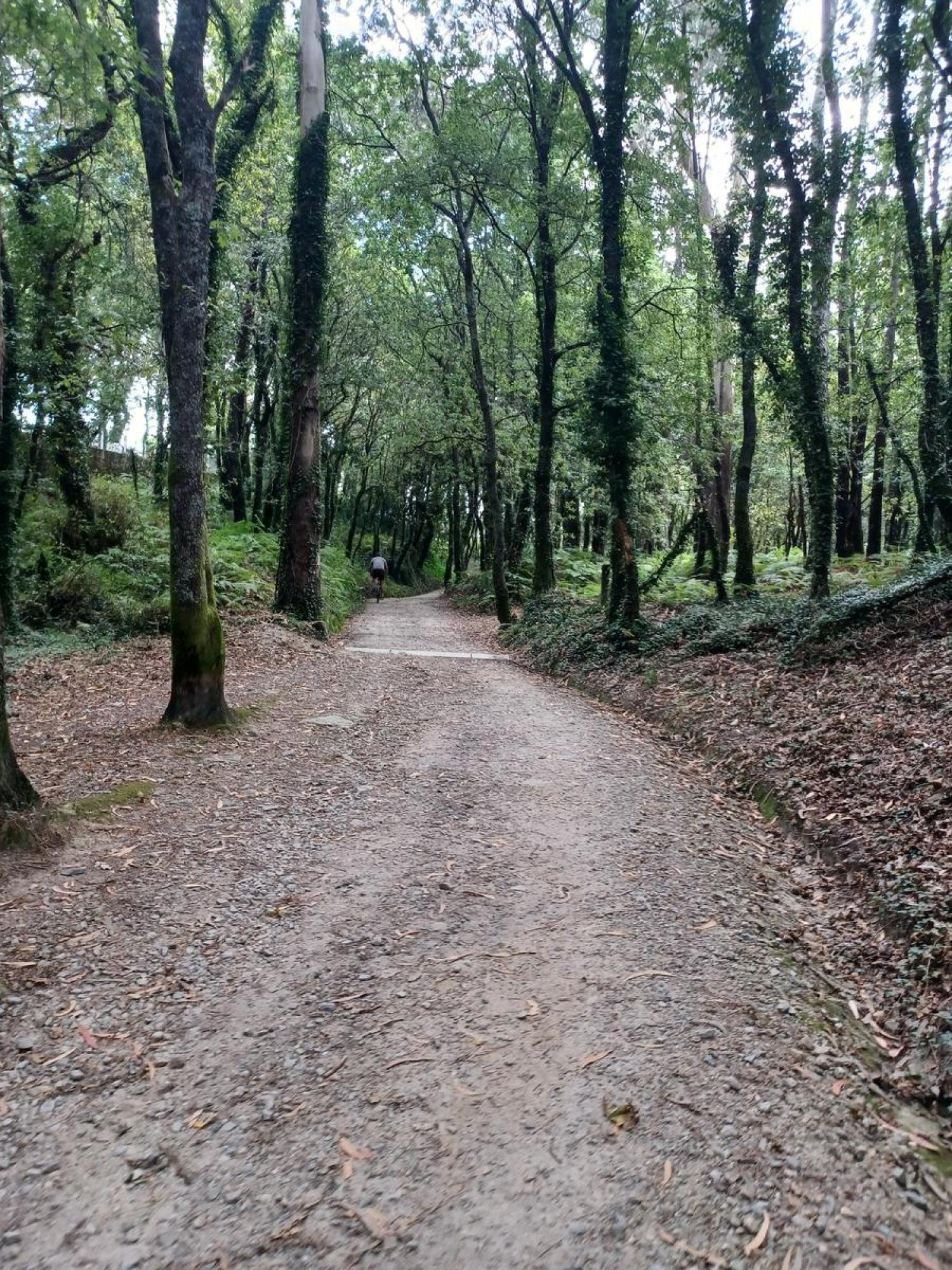  for sale plot Raíces Santiago 17