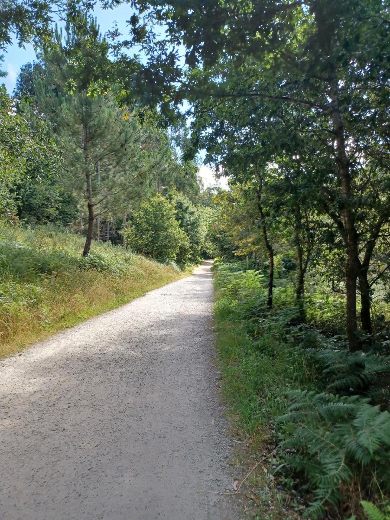  for sale plot Raíces Santiago 24