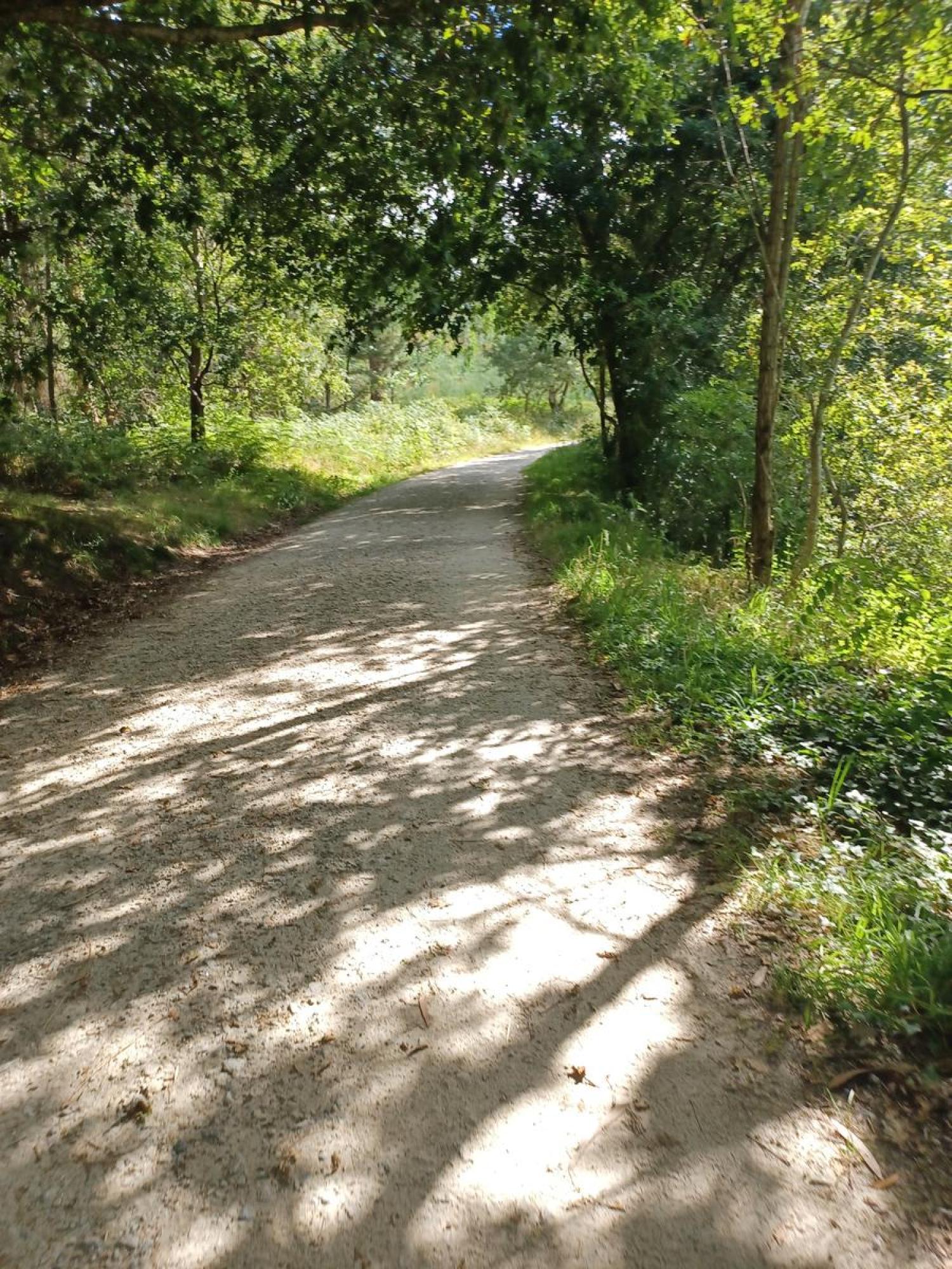  for sale plot Raíces Santiago 34