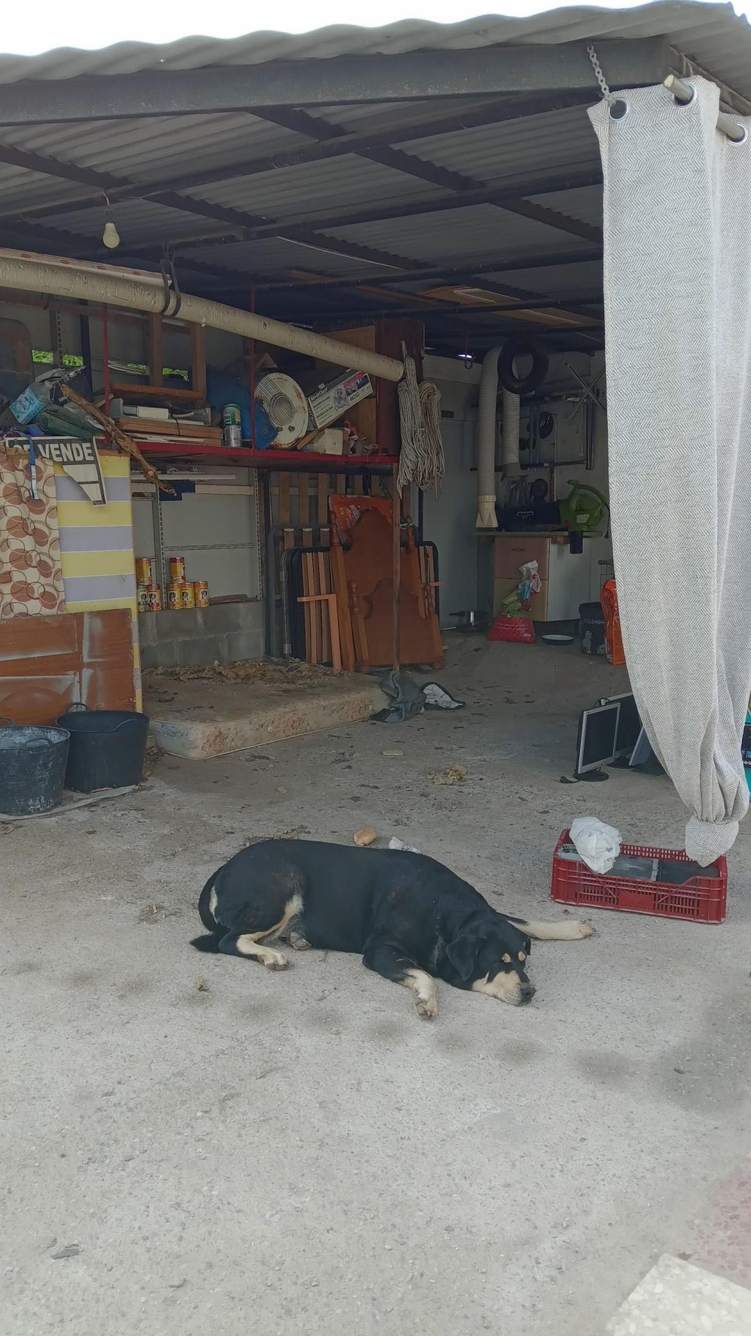 for sale terraced house Puntalón Costa Tropical 9