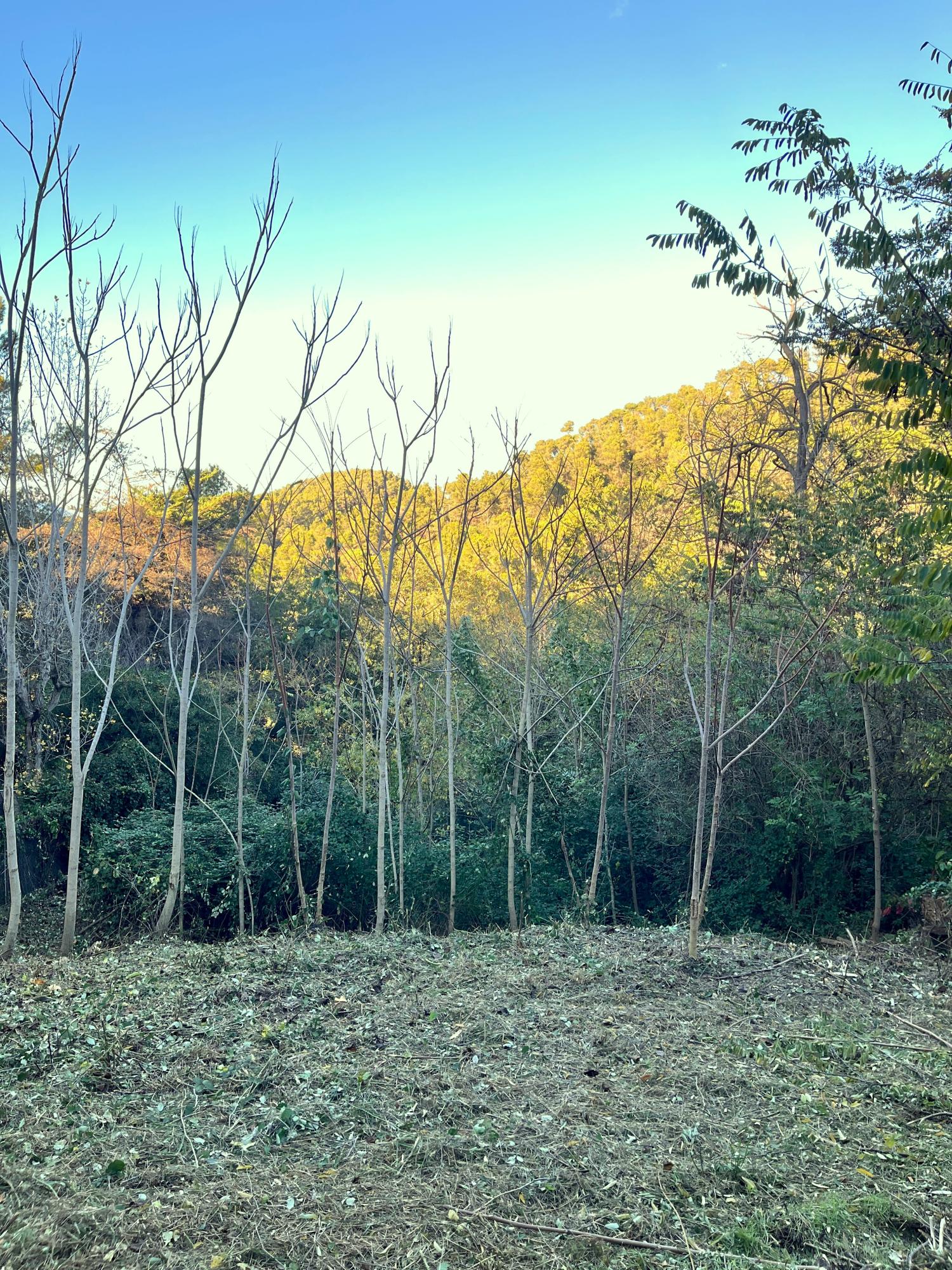  for sale plot Les Planes Vallès Occidental 1