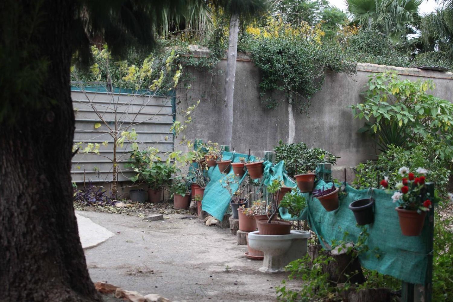  for sale villa Sollana Ribera Baixa 80