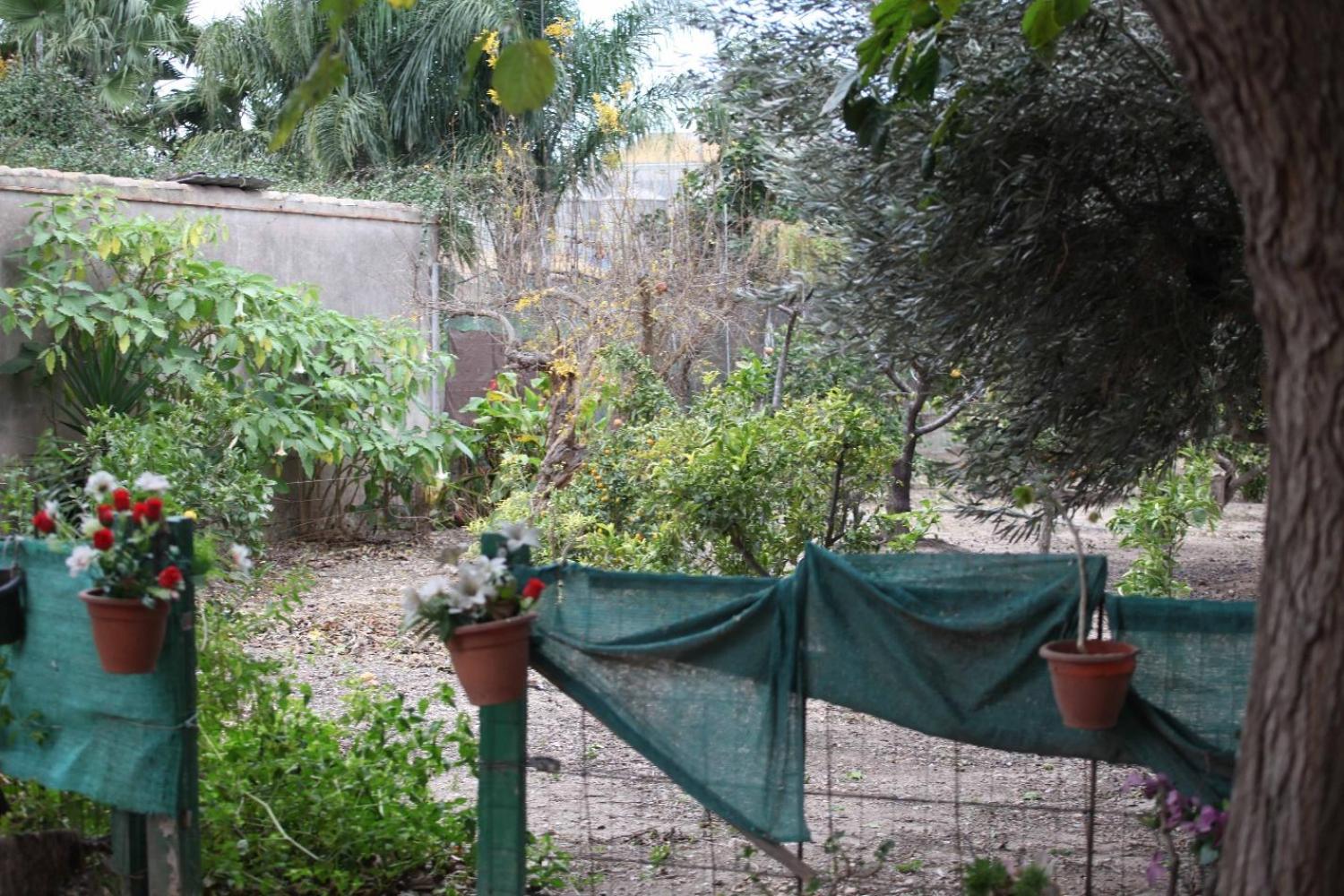  for sale villa Sollana Ribera Baixa 68